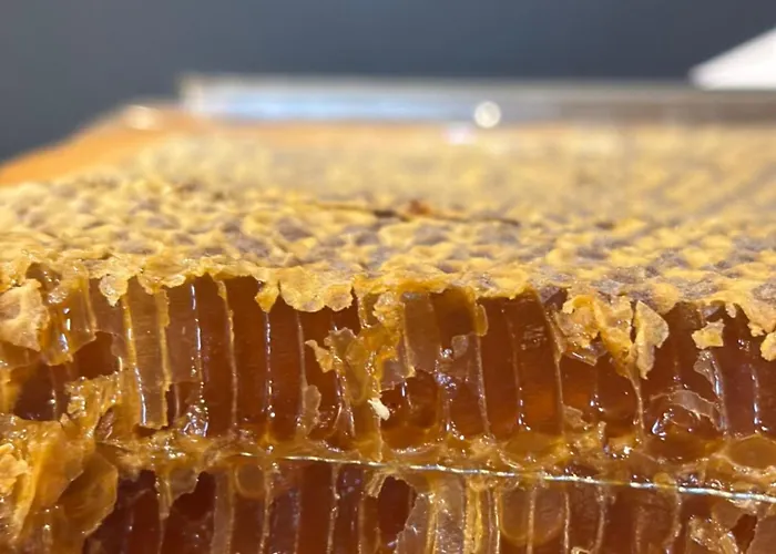 La Piazzetta Bed and Breakfast Castiglione dei Pepoli