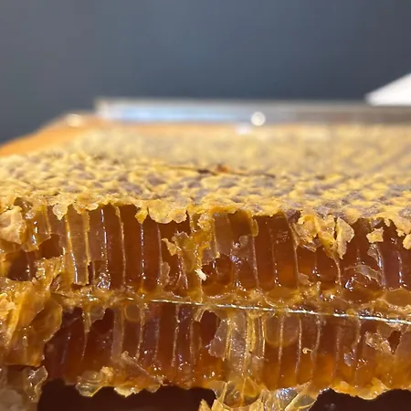 La Piazzetta Alojamento de Acomodação e Pequeno-almoço Castiglione dei Pepoli